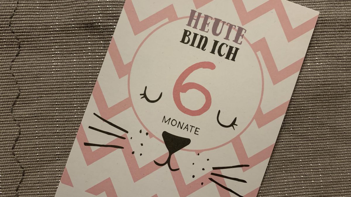 Ein verdammt langes halbes Jahr